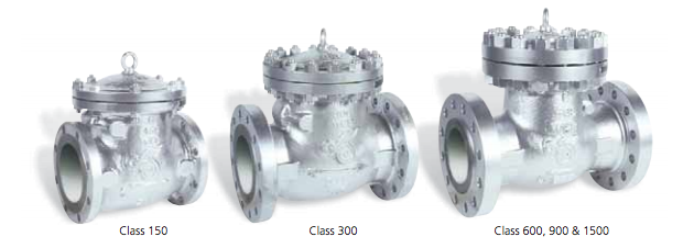 DSI Check Valves