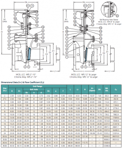 dsi-gate-valves-300