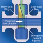 WKM Pow-R-Seal Gate Valves